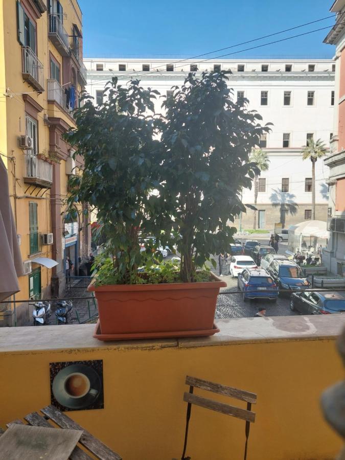 Concept B&B Napoli Eksteriør billede